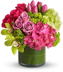 New Sensations from Visser's Florist and Greenhouses in Anaheim, CA